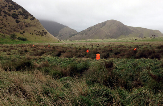 Menschen in Schutzwesten in neuseeländischer Landschaft (photo)