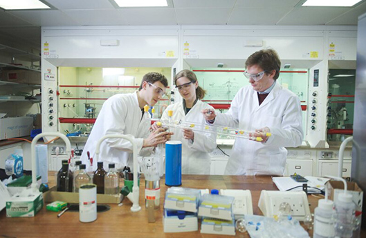 Wissenschaftler im Labor (photo)