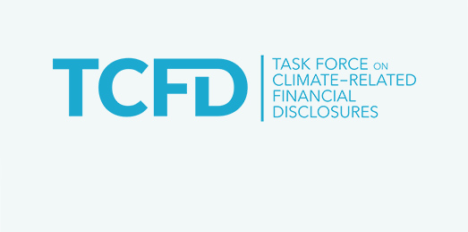 TCFD Logo (Foto)