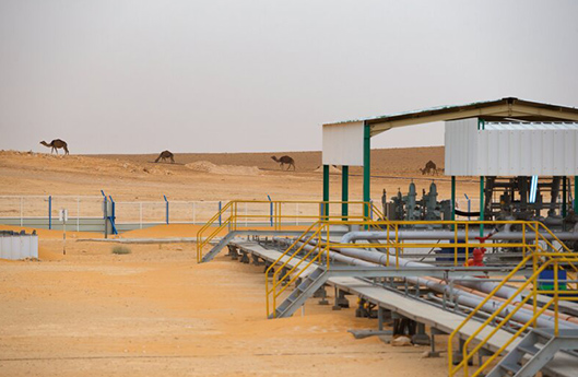Water-use-related project in Libya (photo)