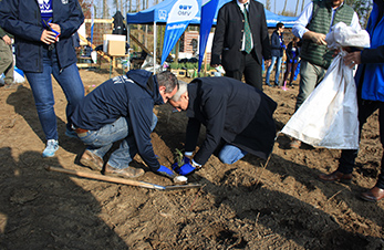 Several OMV employees planting trees (photo)