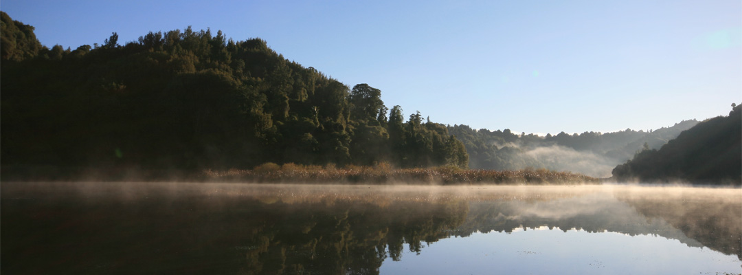 Lake Rotokare in New Zealand (photo)